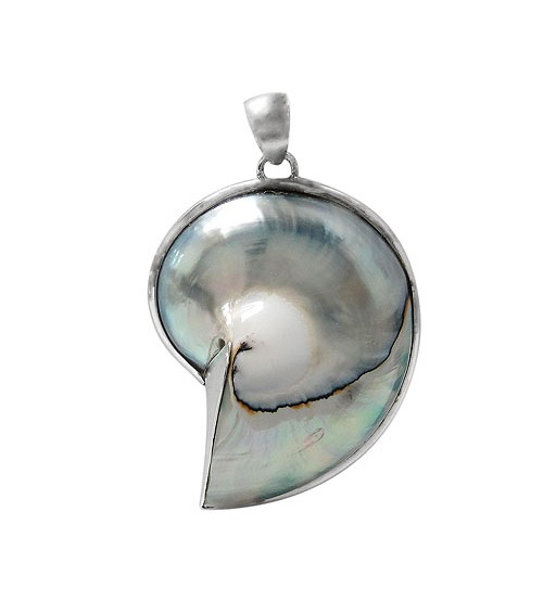 Silver Shell Pendant, Sterling Silver